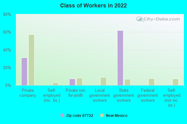 Class of Workers in 2022