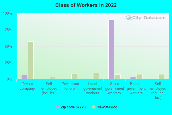 Class of Workers in 2022