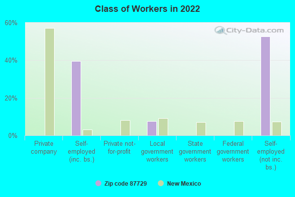 Class of Workers in 2022