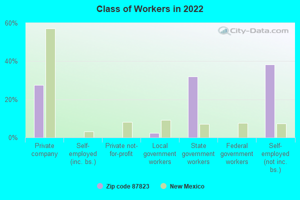 Class of Workers in 2022