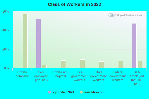 Class of Workers in 2022