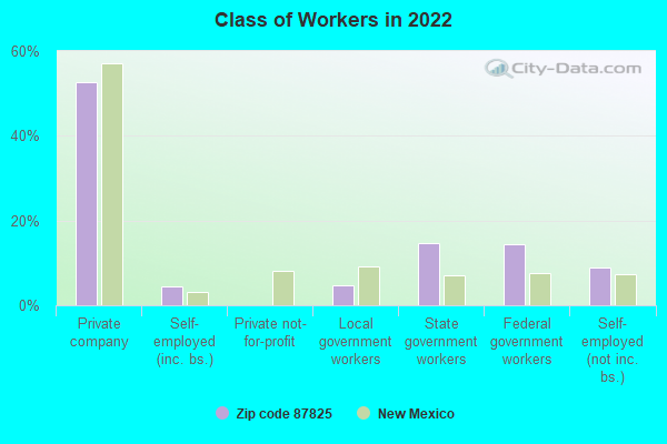 Class of Workers in 2022