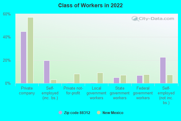 Class of Workers in 2022