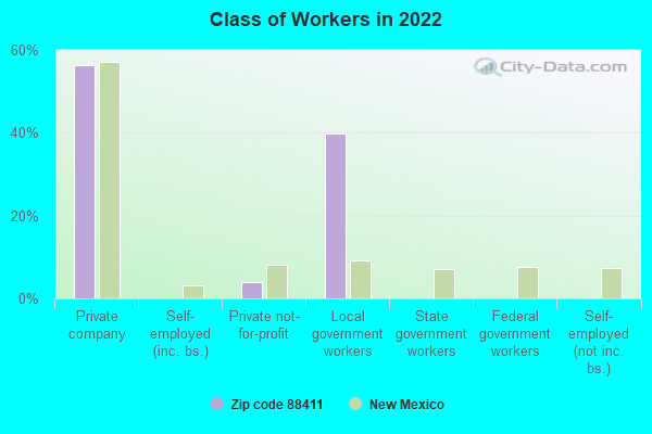 Class of Workers in 2022