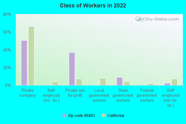 Class of Workers in 2022