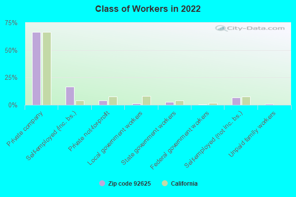 Class of Workers in 2022