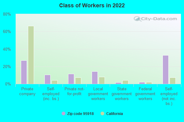 Class of Workers in 2022