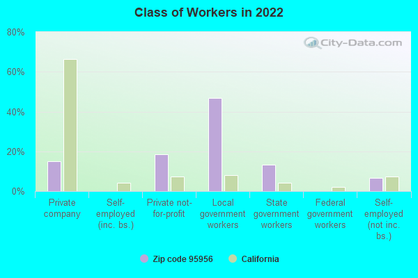 Class of Workers in 2022