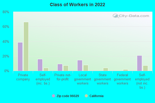 Class of Workers in 2022