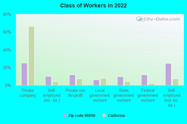 Class of Workers in 2022