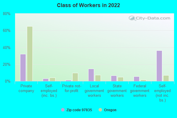 Class of Workers in 2022