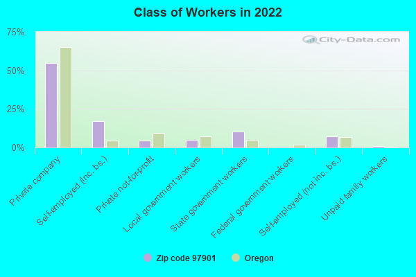 Class of Workers in 2022