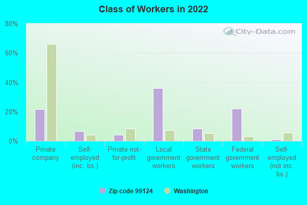 Class of Workers in 2022