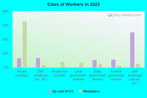 Class of Workers in 2022