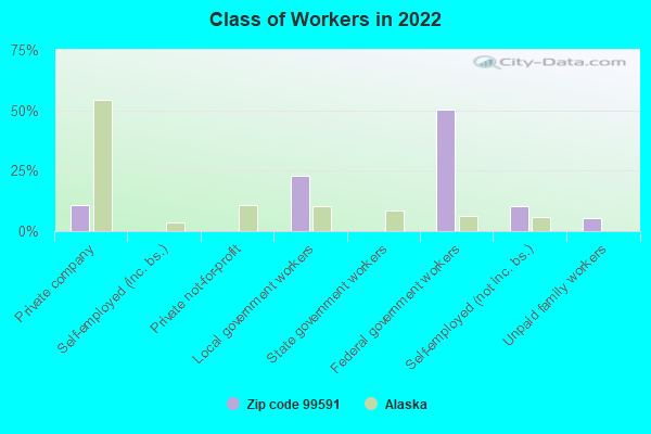 Class of Workers in 2022