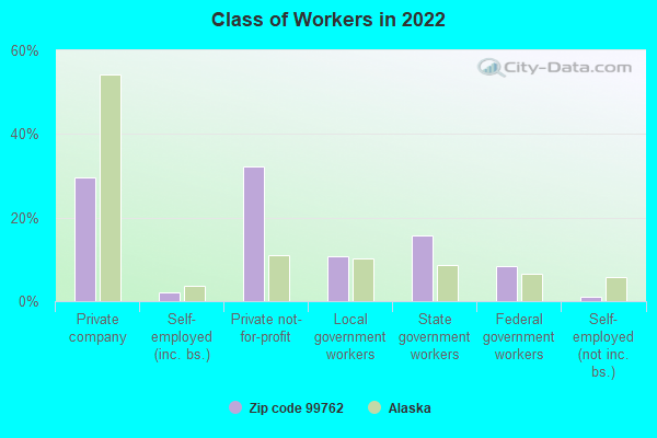 Class of Workers in 2022