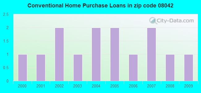 Conventional Home Purchase Loans in zip code 08042