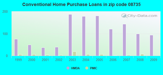 Conventional Home Purchase Loans in zip code 08735
