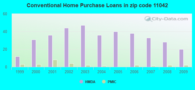 Conventional Home Purchase Loans in zip code 11042