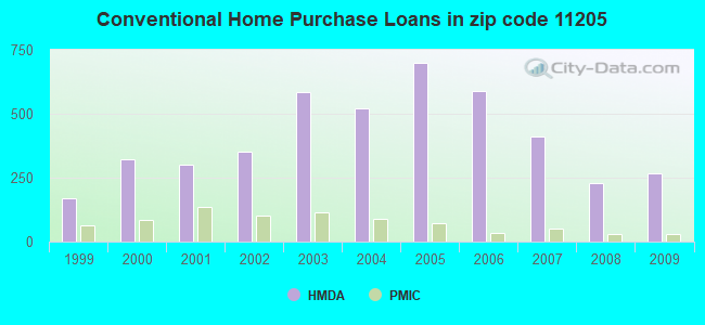 Conventional Home Purchase Loans in zip code 11205