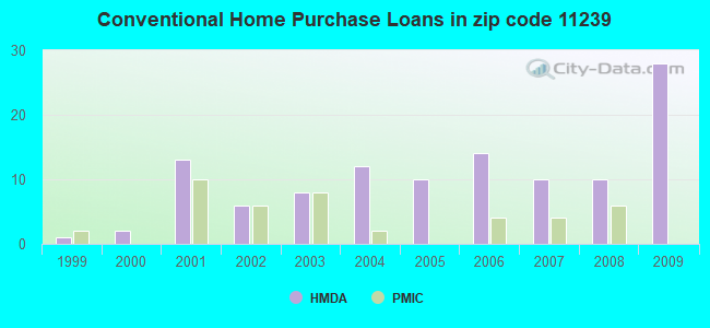 Conventional Home Purchase Loans in zip code 11239