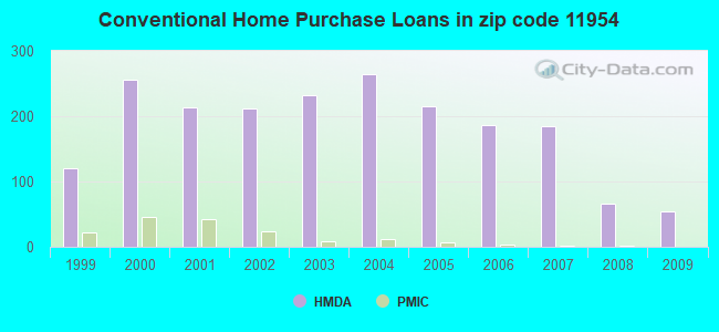Conventional Home Purchase Loans in zip code 11954