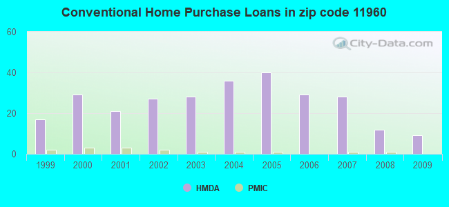 Conventional Home Purchase Loans in zip code 11960