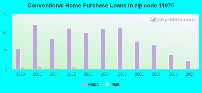 Conventional Home Purchase Loans in zip code 11975
