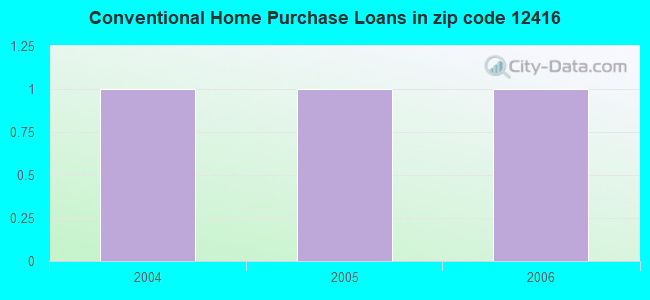 Conventional Home Purchase Loans in zip code 12416