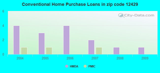 Conventional Home Purchase Loans in zip code 12429