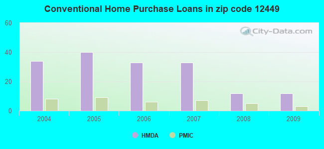 Conventional Home Purchase Loans in zip code 12449