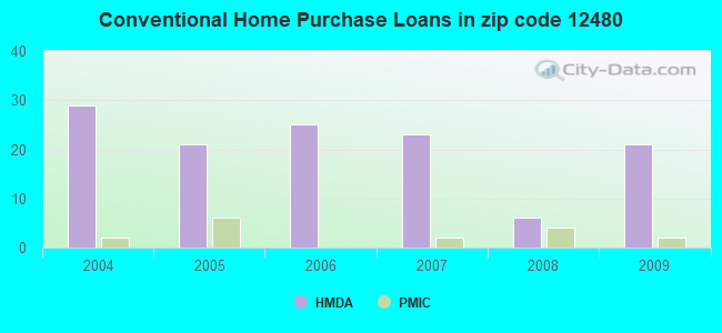 Conventional Home Purchase Loans in zip code 12480