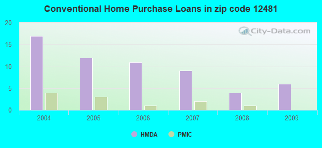 Conventional Home Purchase Loans in zip code 12481