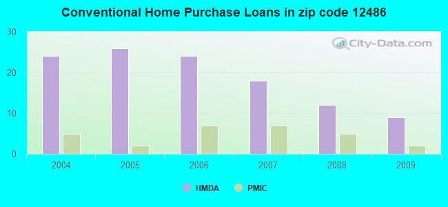 Conventional Home Purchase Loans in zip code 12486