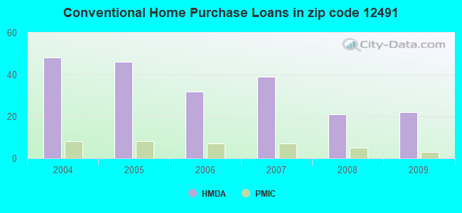 Conventional Home Purchase Loans in zip code 12491
