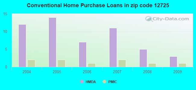 Conventional Home Purchase Loans in zip code 12725