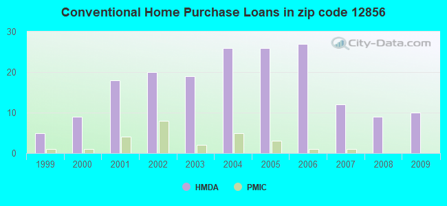 Conventional Home Purchase Loans in zip code 12856