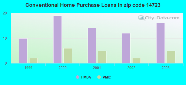 Conventional Home Purchase Loans in zip code 14723