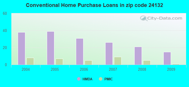 Conventional Home Purchase Loans in zip code 24132