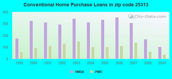 Conventional Home Purchase Loans in zip code 25313