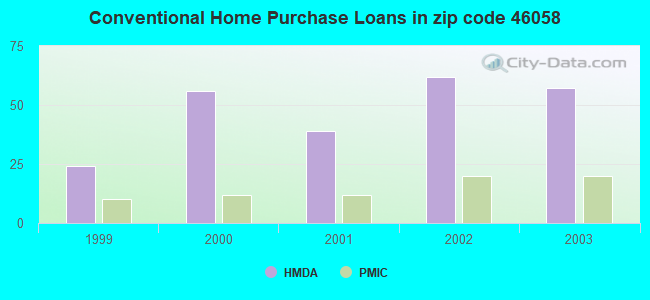 Conventional Home Purchase Loans in zip code 46058