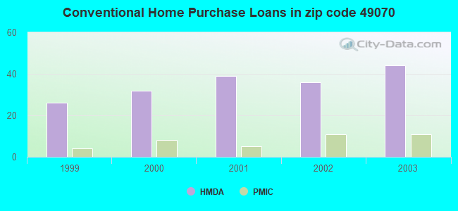 Conventional Home Purchase Loans in zip code 49070