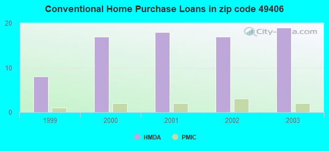 Conventional Home Purchase Loans in zip code 49406