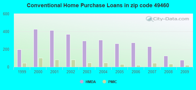 Conventional Home Purchase Loans in zip code 49460