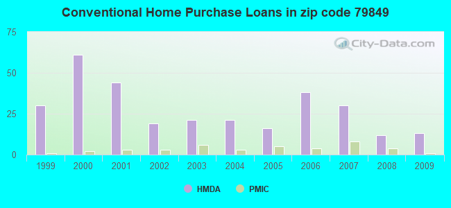 Conventional Home Purchase Loans in zip code 79849