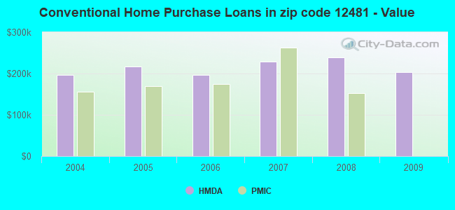 Conventional Home Purchase Loans in zip code 12481 - Value