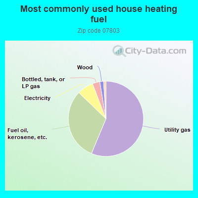 Most commonly used house heating fuel