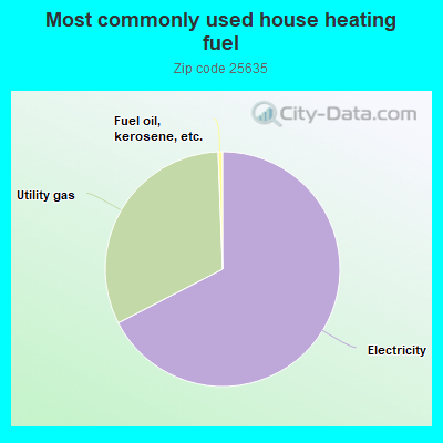 Most commonly used house heating fuel