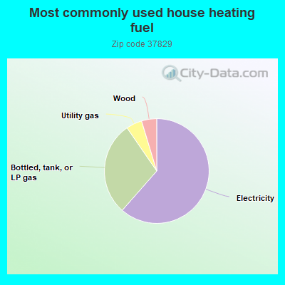 Most commonly used house heating fuel