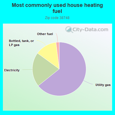 Most commonly used house heating fuel